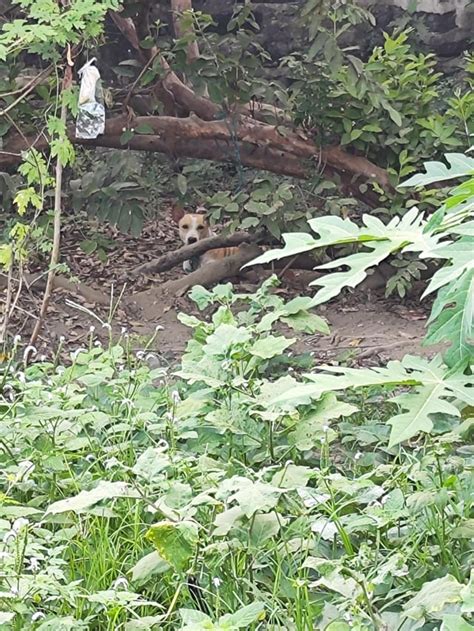 chupa sa bakanteng lote|saRap ng chupa ko sa kapitbahay sa bakanteng lote .